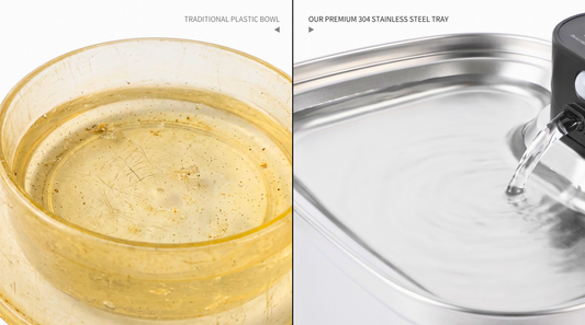 Stainless Steel vs Plastic Cat Water Fountain