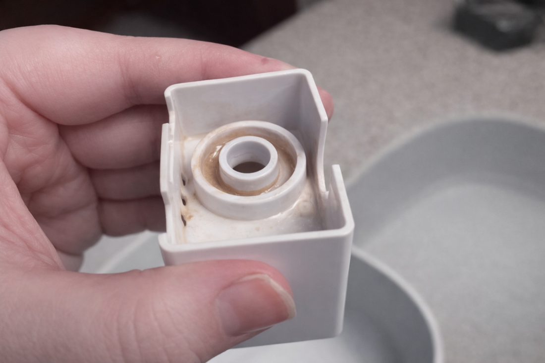 The "3 AM Buzz": Why Your Quiet Fountain Suddenly Got Loud (And How I Fixed Mine)