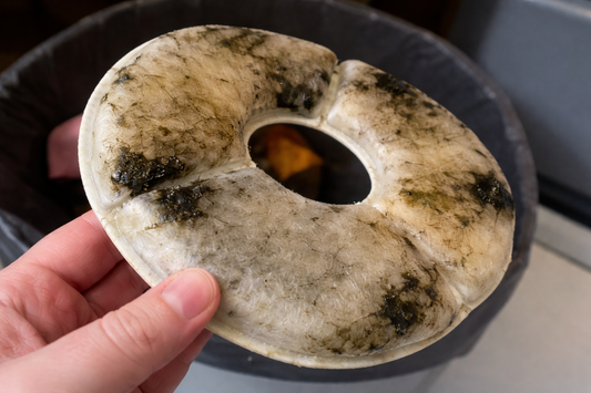 I Didn’t Change My Cat’s Water Filter for Weeks… Here’s What Happened