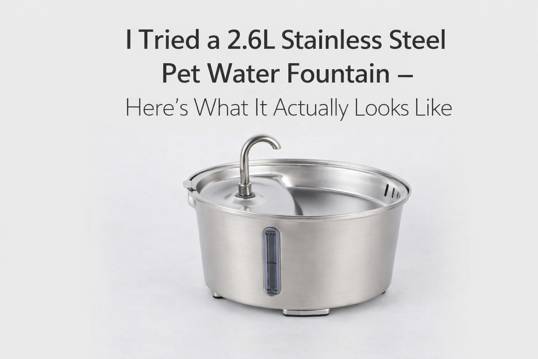 I Tried a 2.6L Stainless Steel Pet Water Fountain — Here’s What It Actually Looks Like