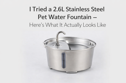 I Tried a 2.6L Stainless Steel Pet Water Fountain — Here’s What It Actually Looks Like