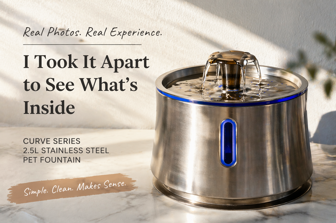 I Took Apart a 2.5L Stainless Steel Pet Fountain — Here’s What I Noticed