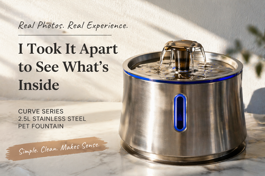 I Took Apart a 2.5L Stainless Steel Pet Fountain — Here’s What I Noticed