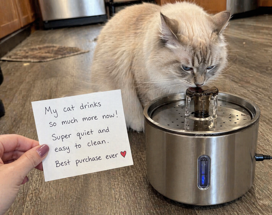 Real Customer Reviews: Why Cats Love This Stainless Steel Water Fountain