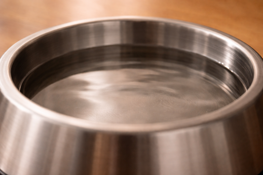 👉 Why Your Cat Watches Water But Doesn’t Drink — Strange but Common Behavior