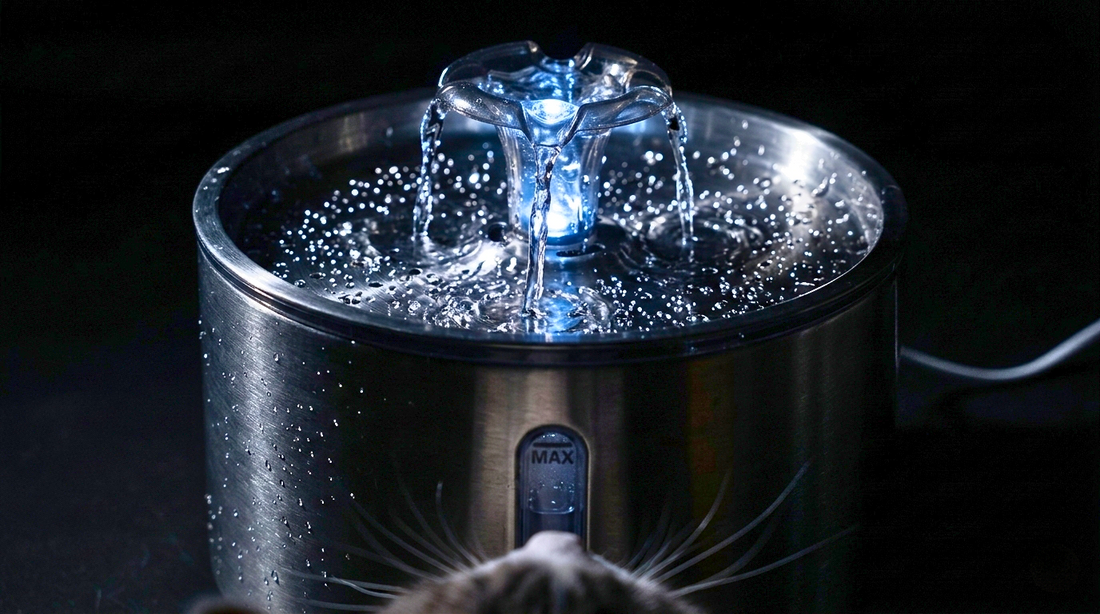 Why Your Cat Drinks More at Night (And What You Can Do About It)