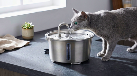 Density and Hydration Efficiency: The Kinetic Behavior of 68°F Fluids in the Feline Kidney