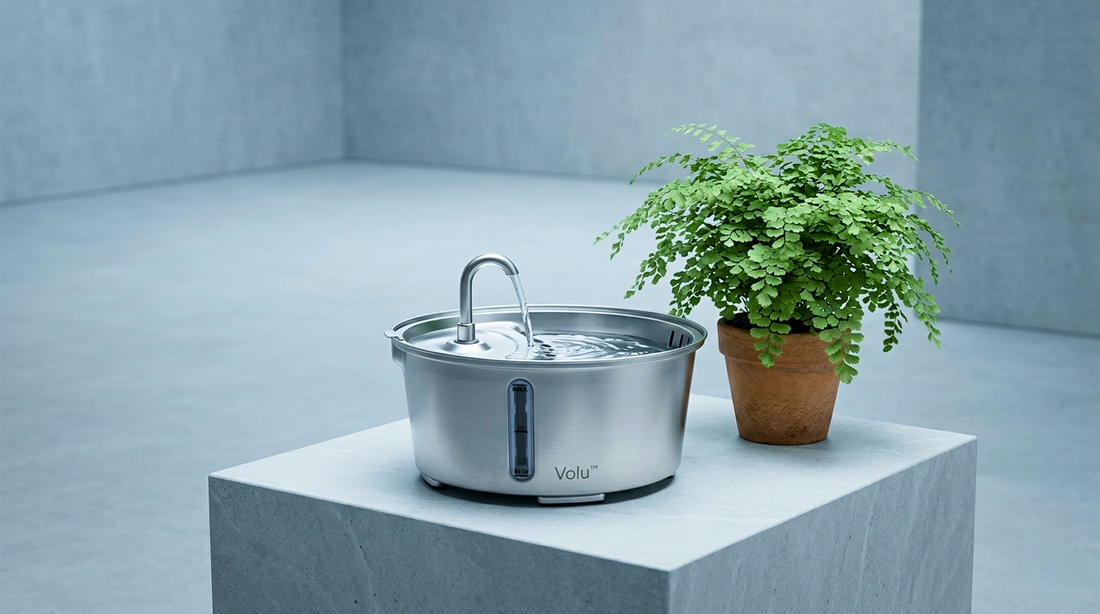 Cookware Grade vs. Medical Grade: Is a Regular Stainless Steel Pot Good Enough for Your Cat?