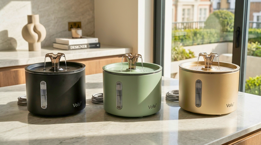 Are These Custom Pet Fountain Colors Something You'd Love? (We Need Your Opinion 💭)