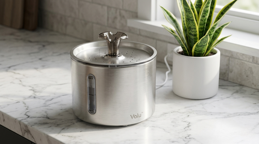 The "Buy It Once" Philosophy: Why We Obsess Over 304 Passivated Stainless Steel