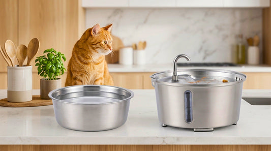 How Often Should You Change Your Cat's Water?