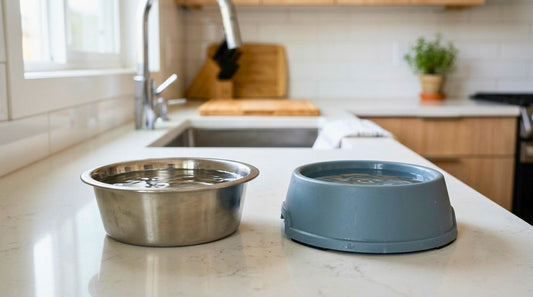 Stainless Steel vs. Plastic Cat Water Bowls: Which Is Better for Everyday Use?
