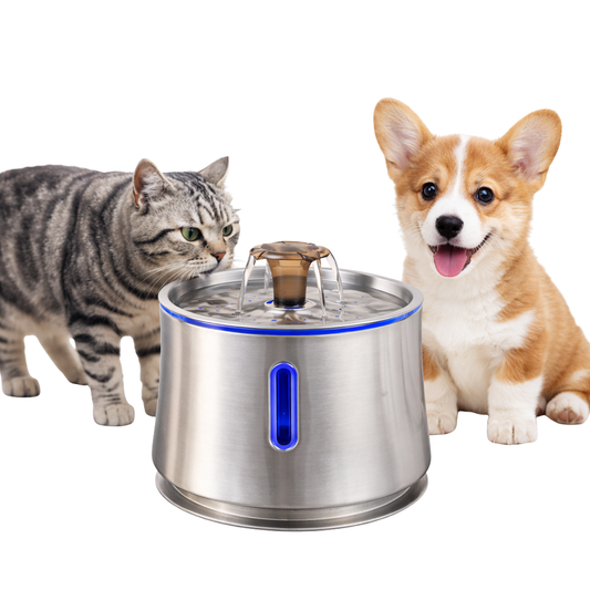 Curve Series — 2.5L Stainless Steel Pet Fountain Clean Water. Quiet Flow. Healthier Pets.
