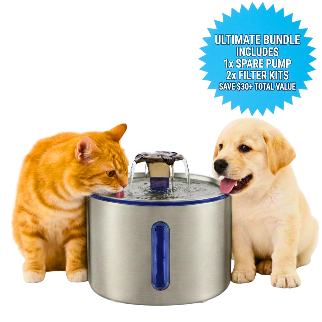 2.5L Stainless Steel Pet Fountain — Cleaner, Quieter & Healthier for Pets