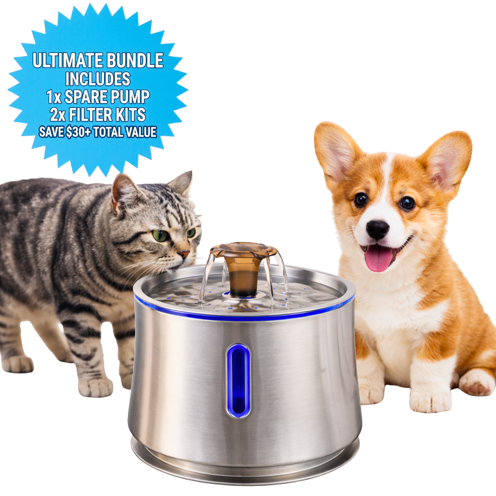 Curve Series — 2.5L Stainless Steel Pet Fountain Clean Water. Quiet Flow. Healthier Pets.