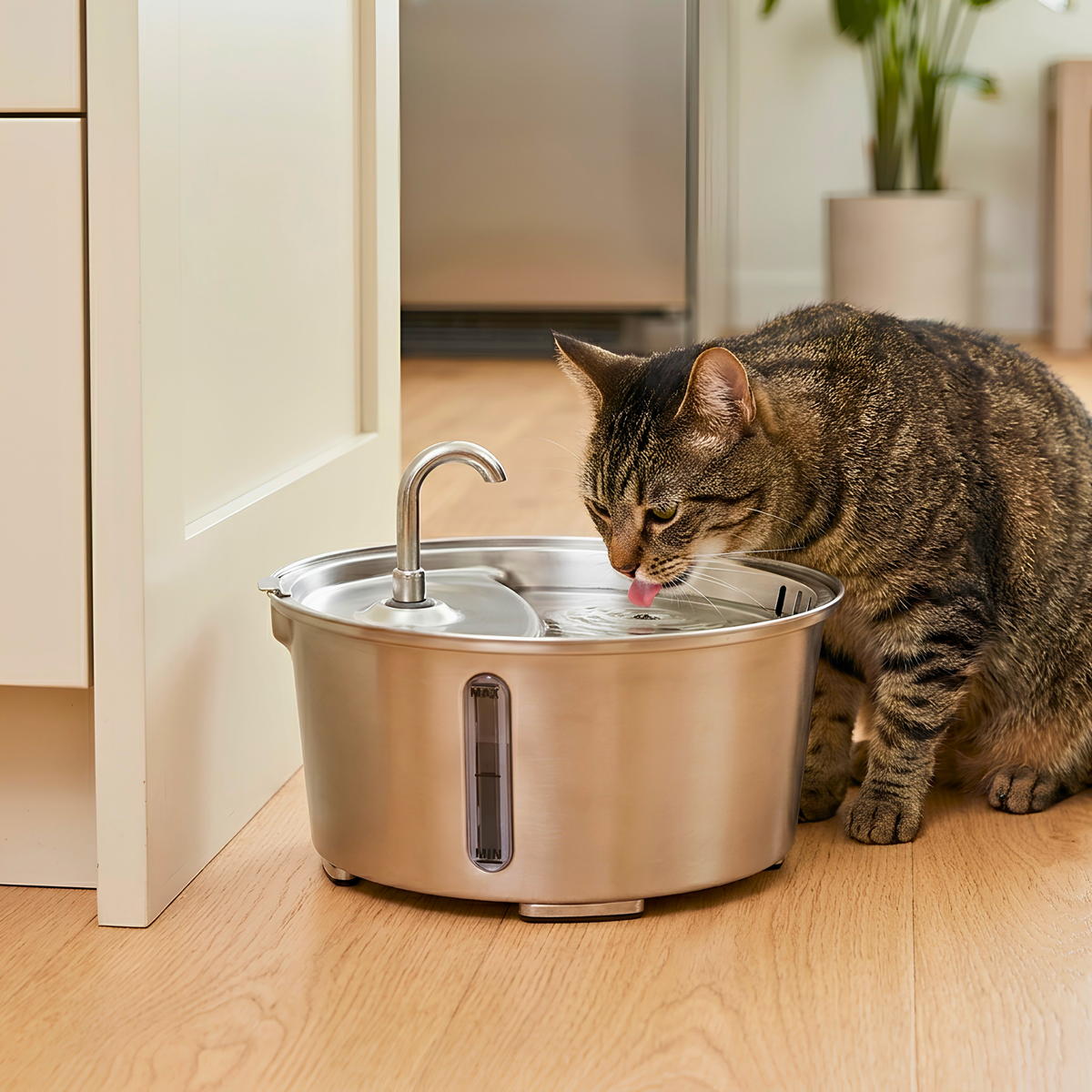 Volu™ PureStream 2.6L Oval Stainless Steel Pet Water Fountain