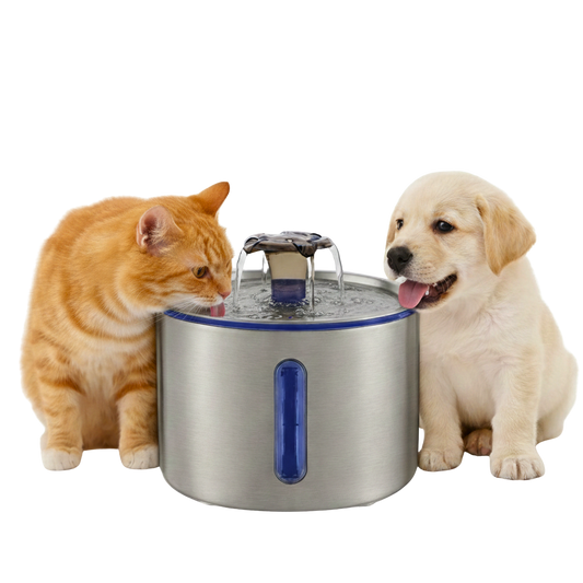 2.5L Stainless Steel Pet Fountain — Cleaner, Quieter & Healthier for Pets
